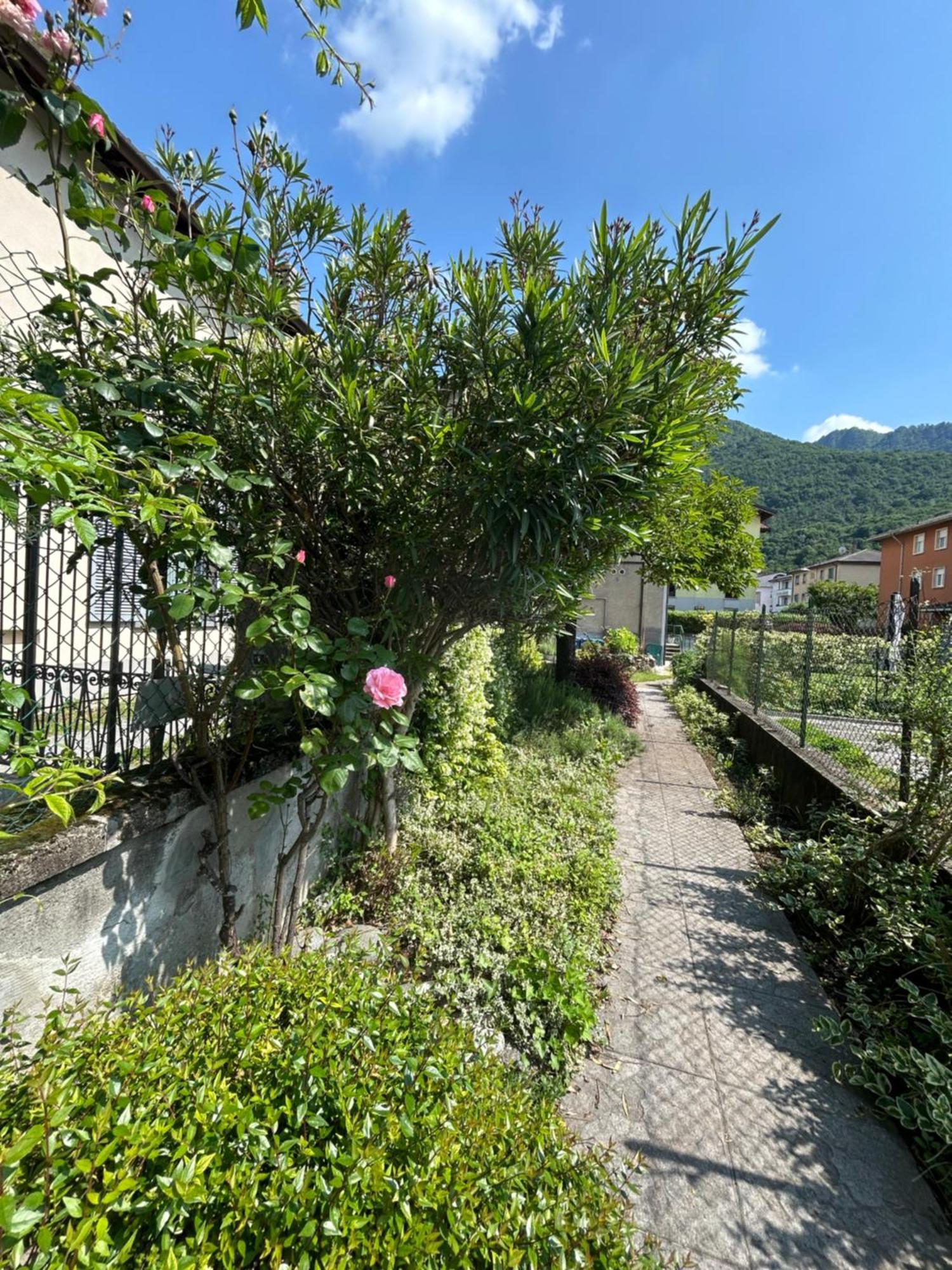 Acchiappasogni Holiday House 马尔格拉特 外观 照片