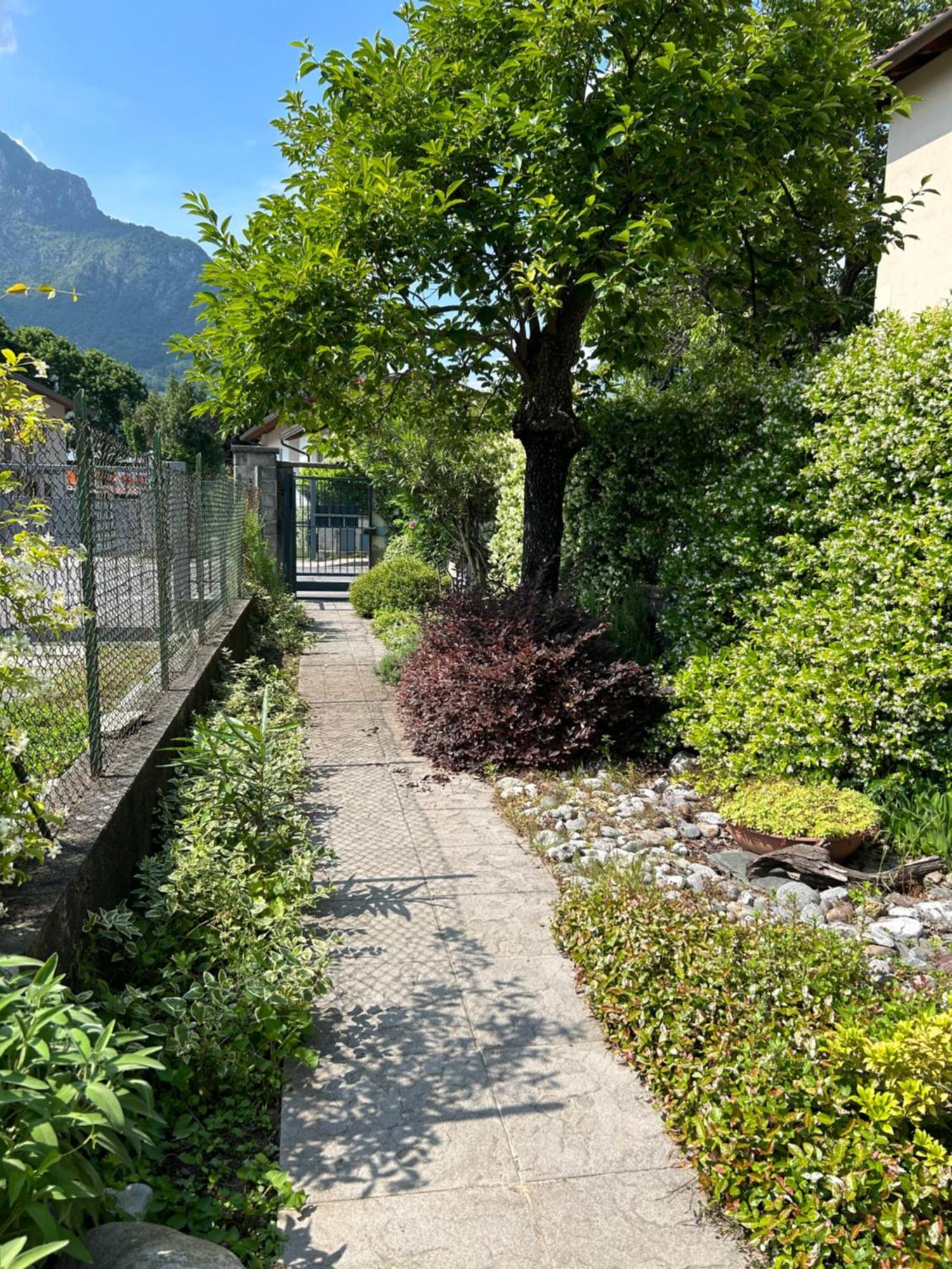 Acchiappasogni Holiday House 马尔格拉特 外观 照片